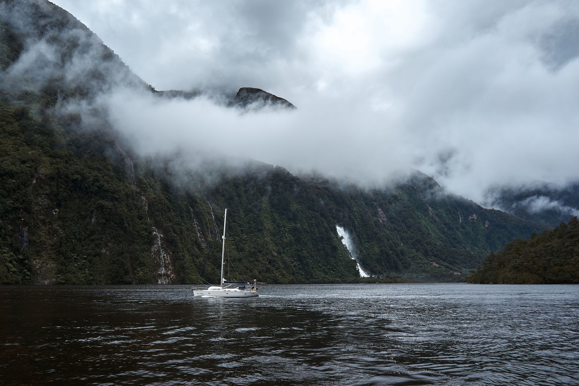 Sailing pristine waters milford sound fiordland